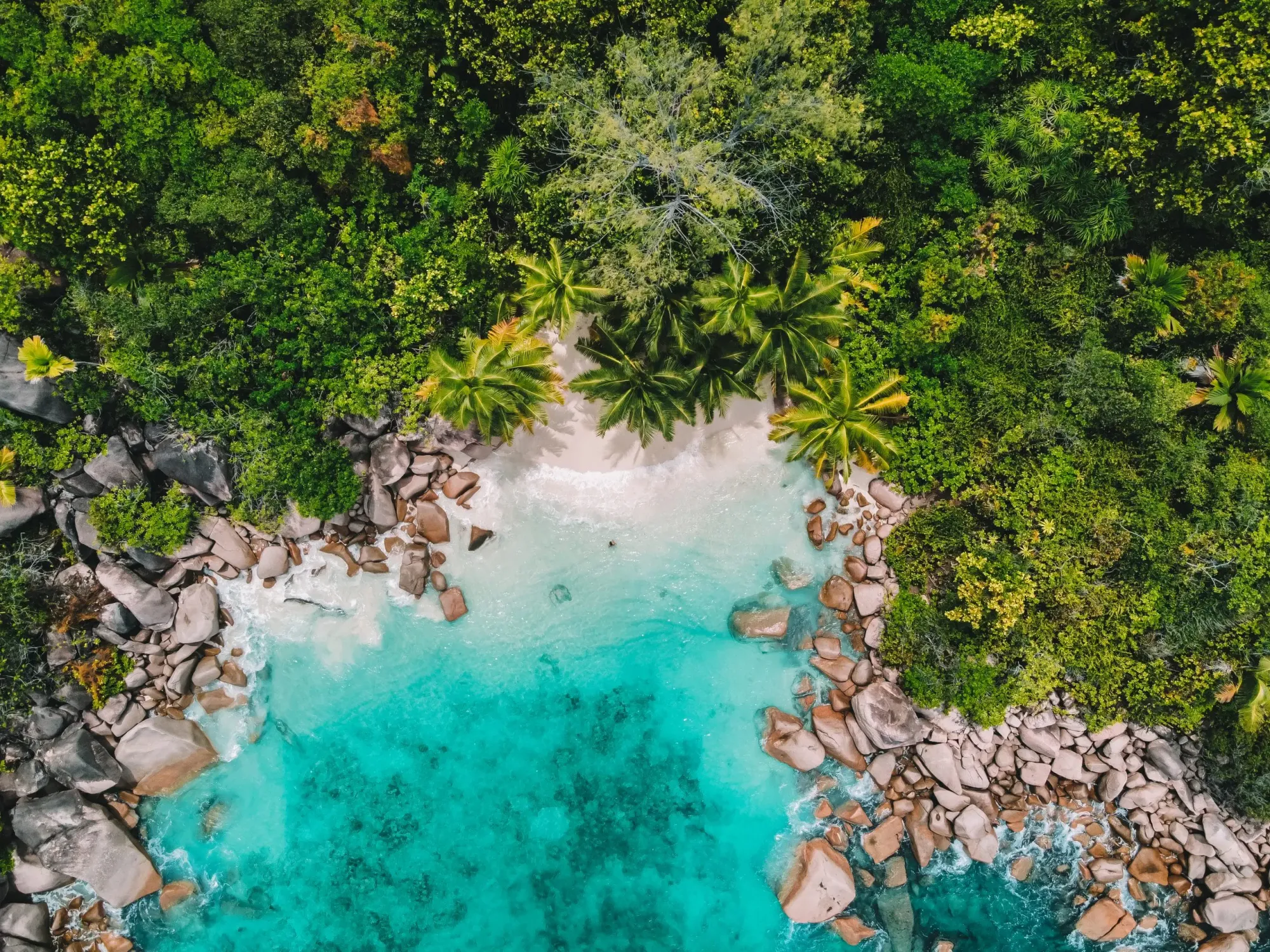 Ariel view of Anse Lazio in Praslin Seychelles