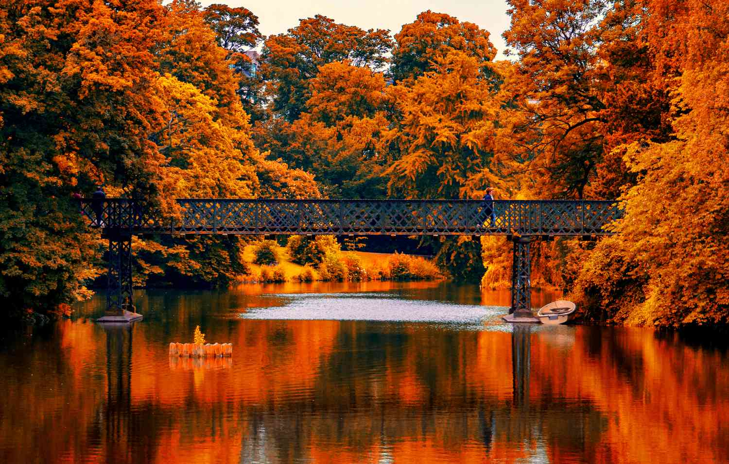 Autumn colored trees surrounding a bridge over water in Denmark 