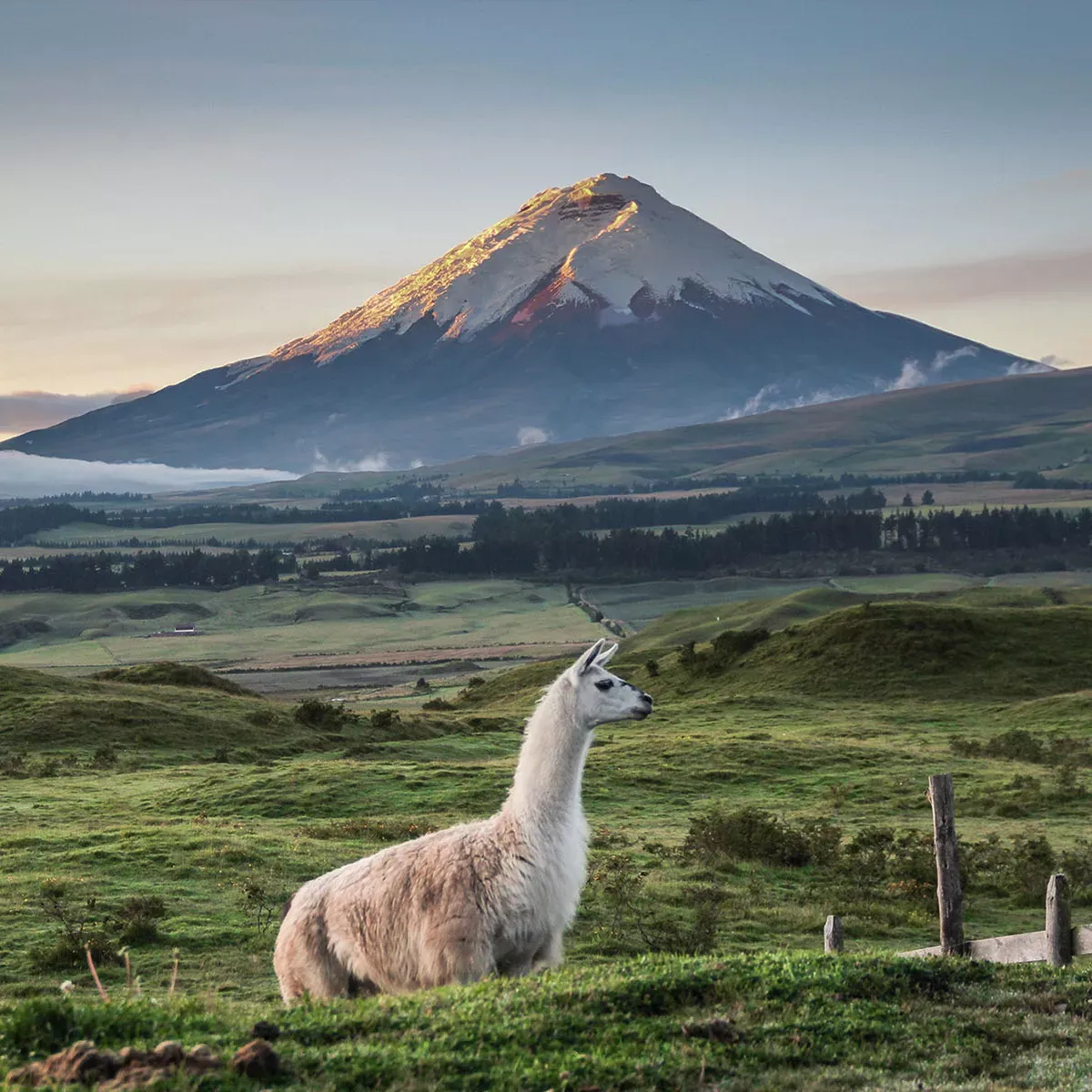 Volcano in Ecuador