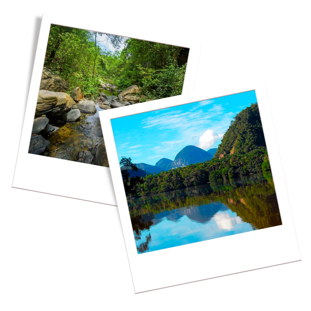 Cerros de Amotape National Park