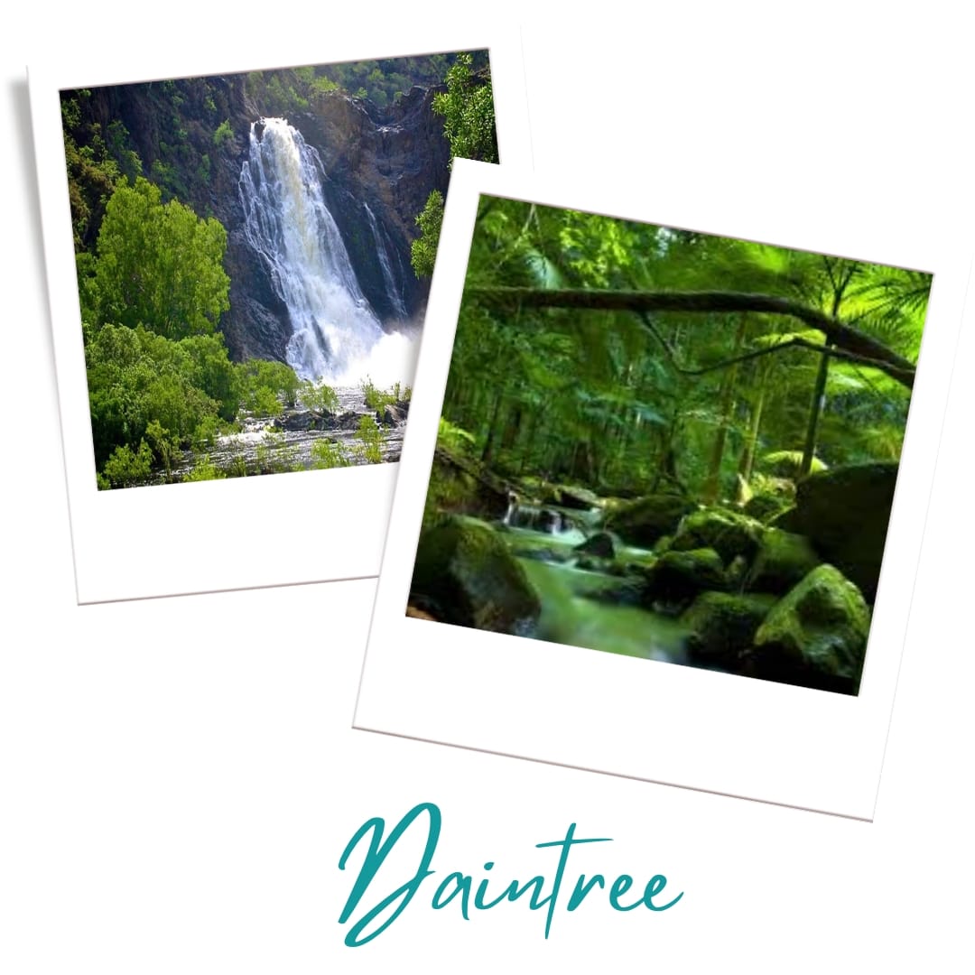 Daintree National Park