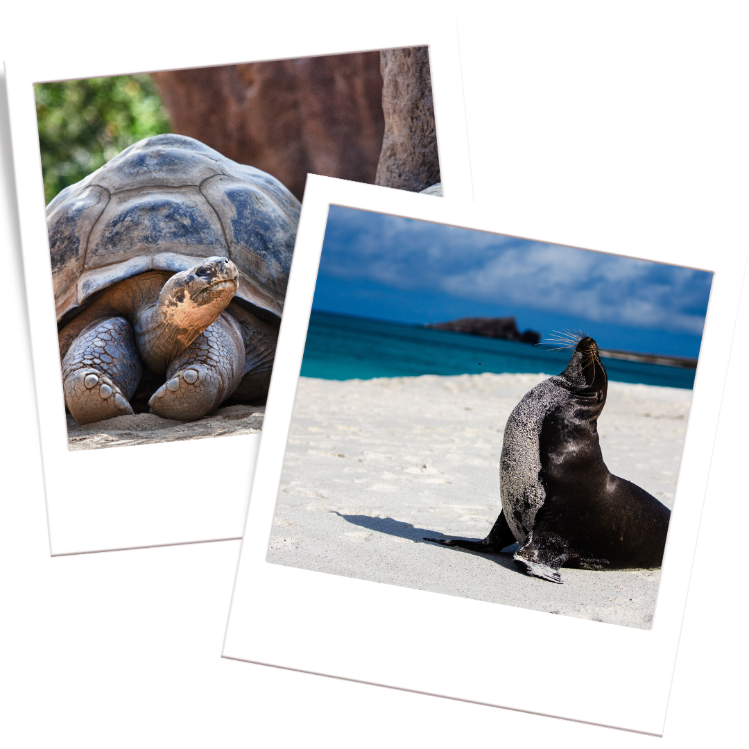 Galápagos National Park