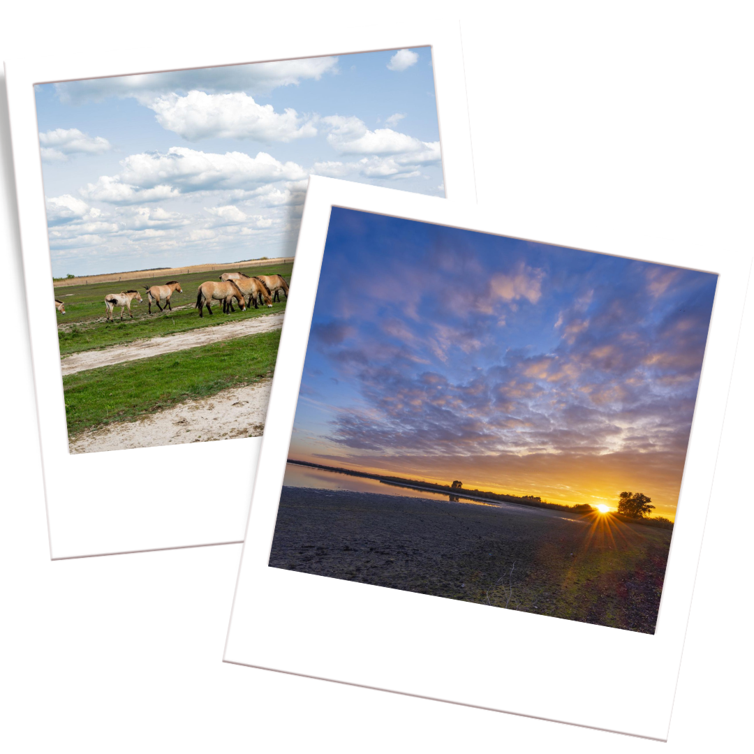 Hortobágy National Park