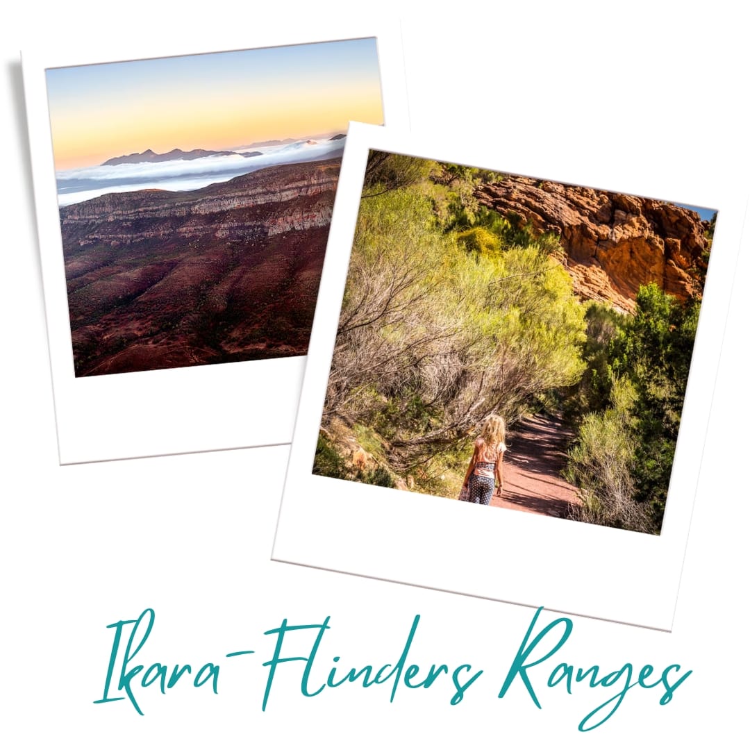 Ikara-Flinders Ranges National Park