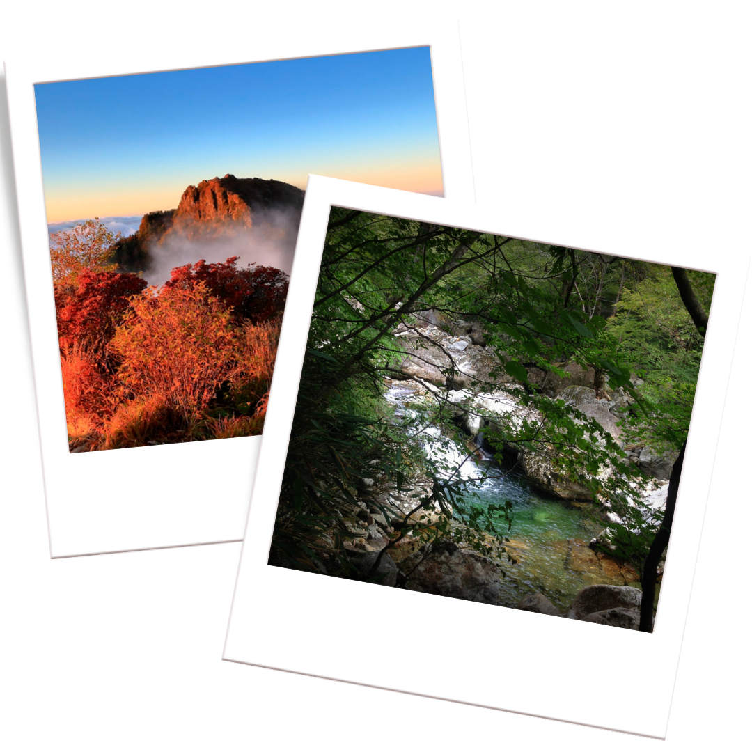 Jirisan National Park