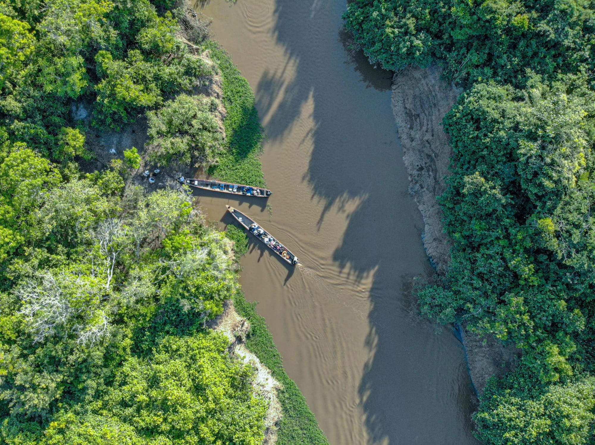 Madidi National Park