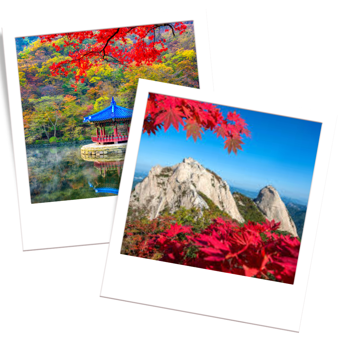 Naejangsan National Park