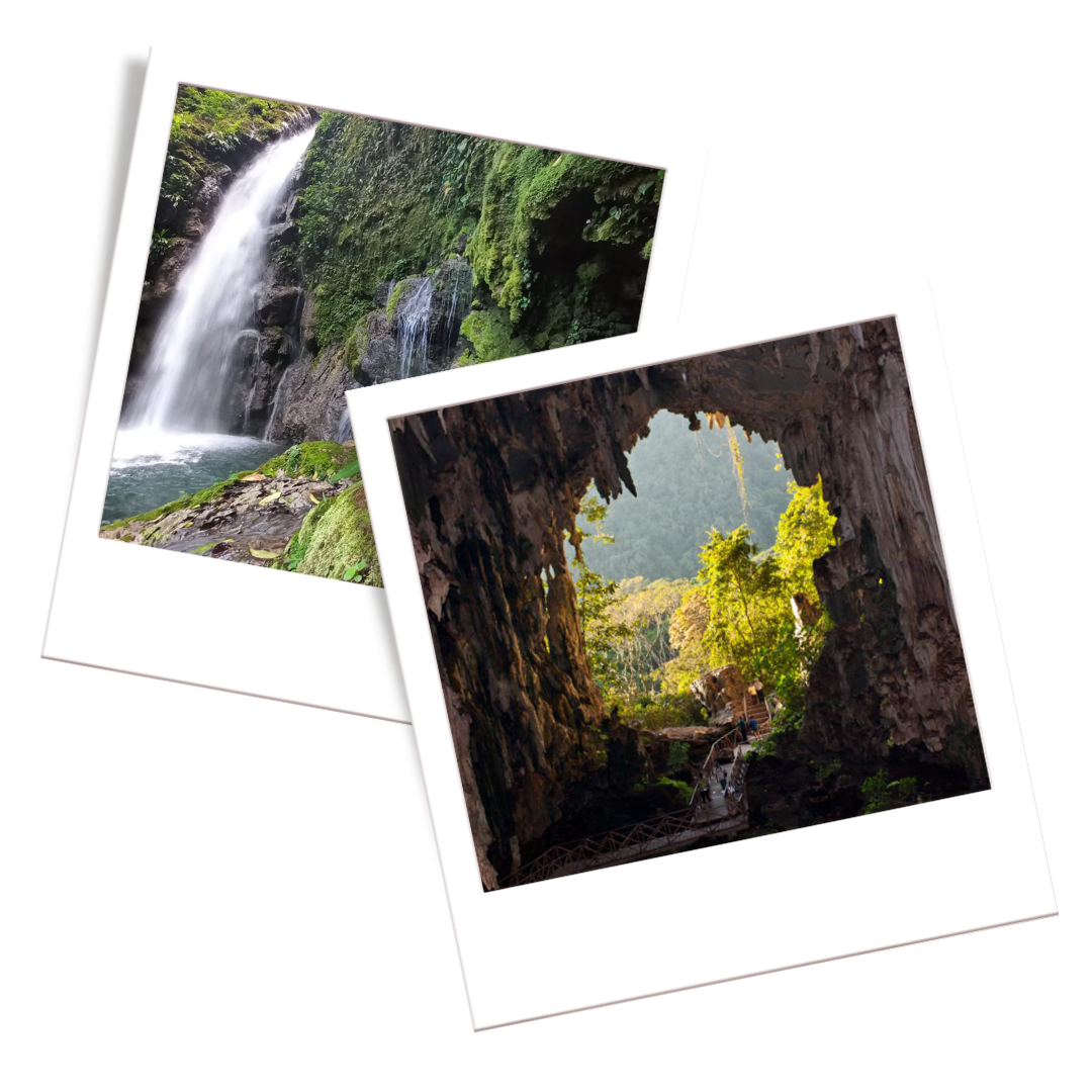 Tingo María National Park