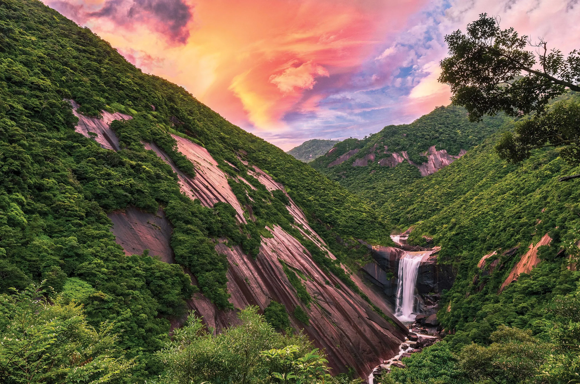 Yakushima National Park