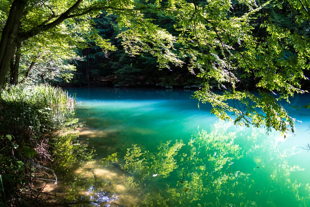 Blue waters inside a forest area at Aggtelek National Park