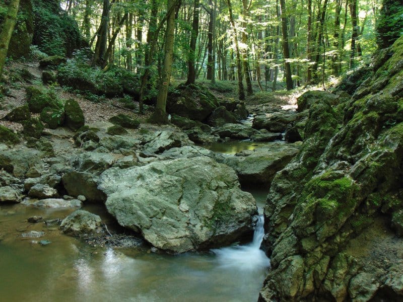 Hiking down a stream at Cuha Valley.