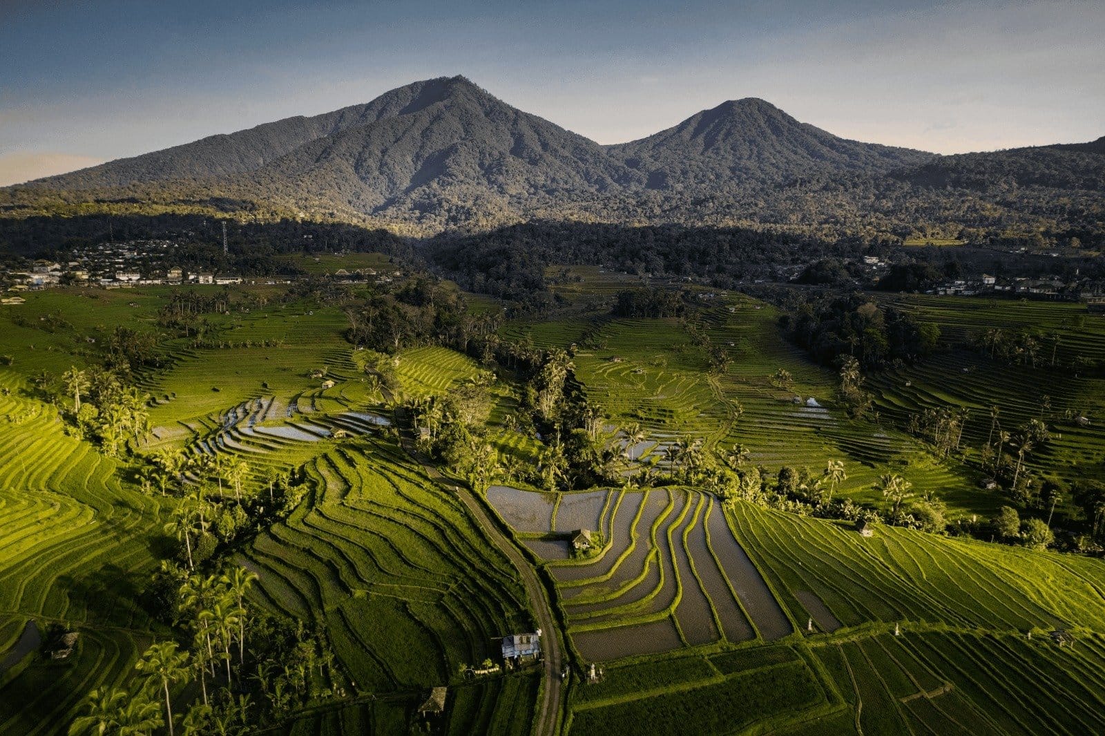 Mountain and rice terraces in Jatiluwih Bali.