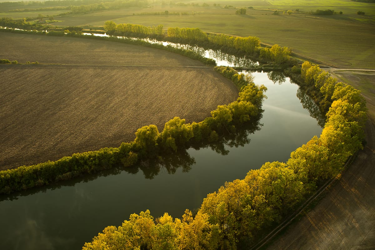 A river running through a field lines with trees.