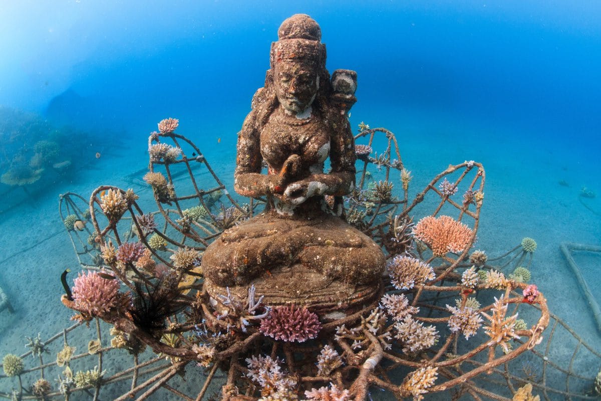 Under water statues in Pemuteran Bali