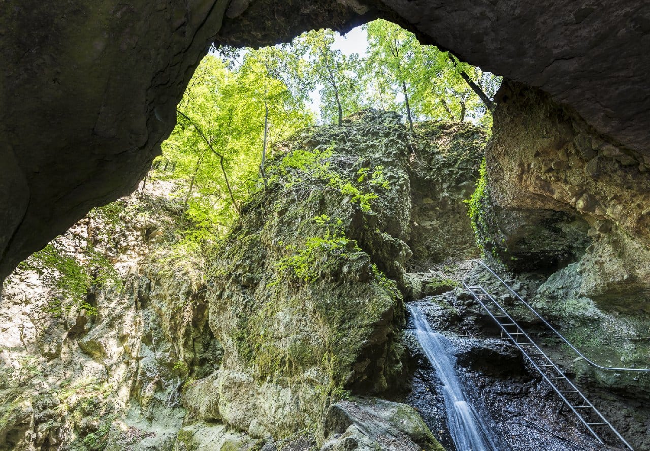 A ladder going up the climbing/hiking trail at Rám Gorge in Hungary.