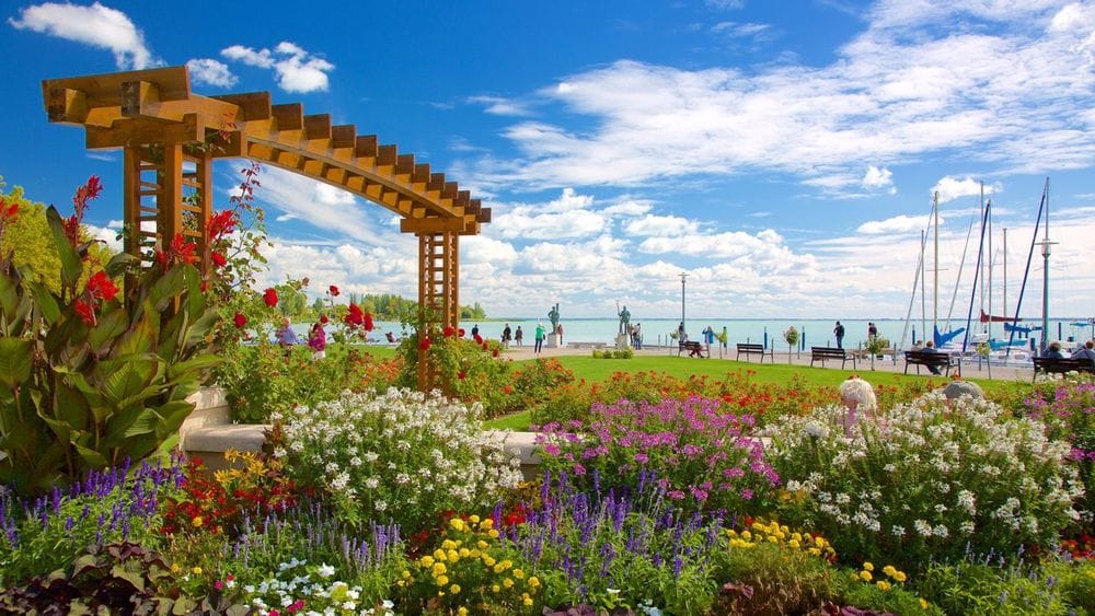 Flowers near Lake Balaton