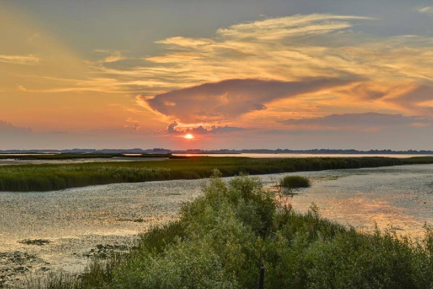 Lake Tisza