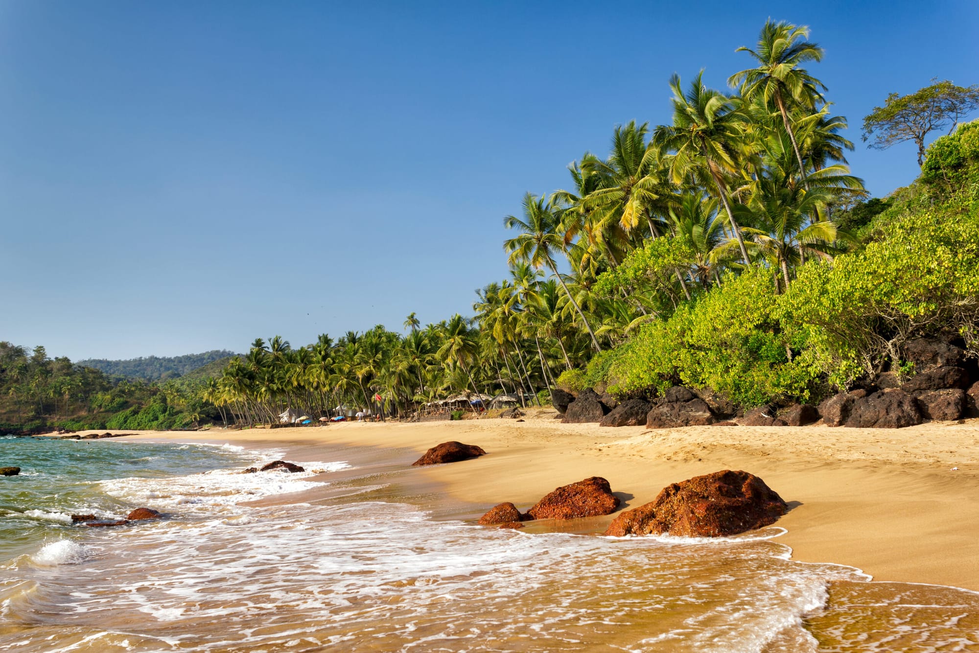 A beach lined with large rock where the sand meets the palm trees behind it in Goa, India.