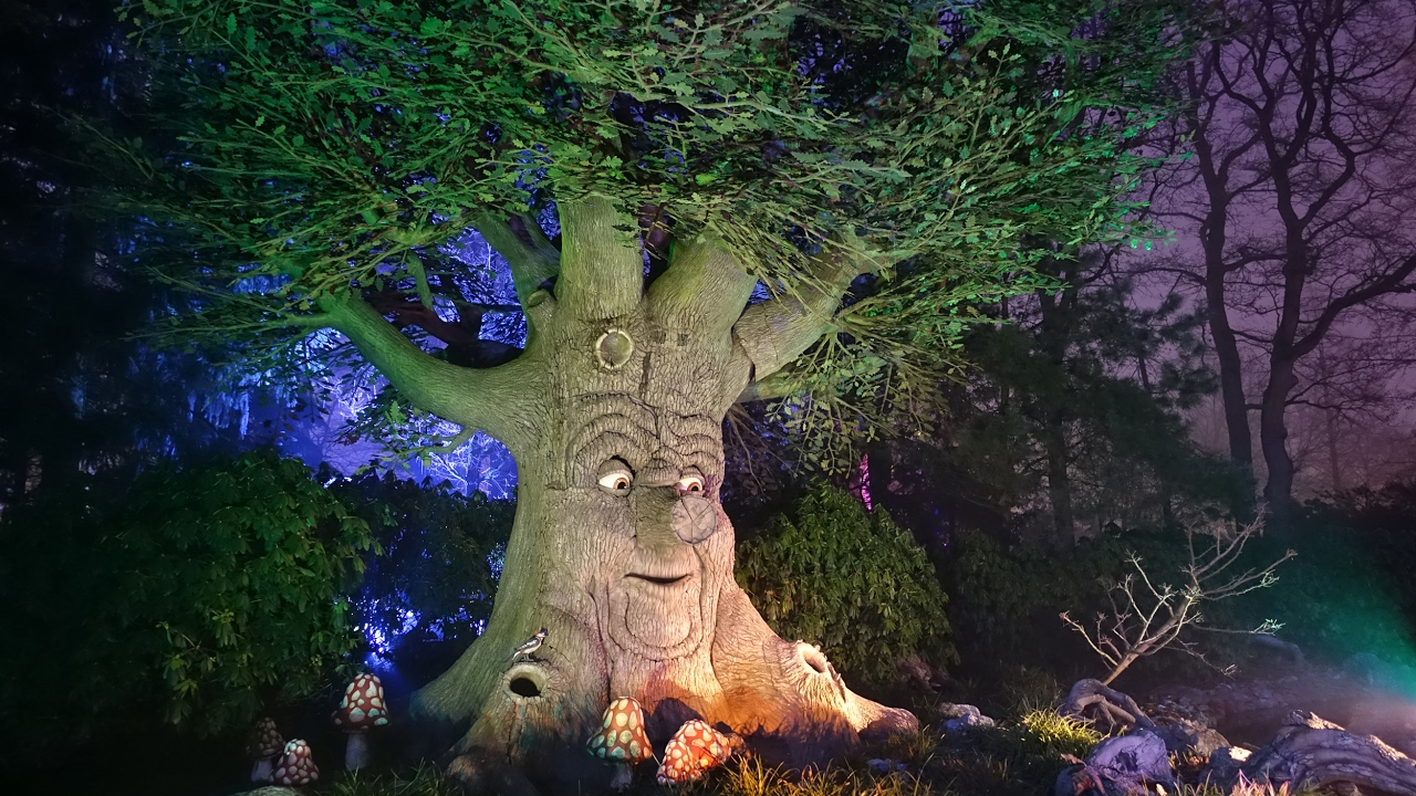 A giant tree with a face on it that appears to be like some talking tree you might see in a cartoon or fairytale.