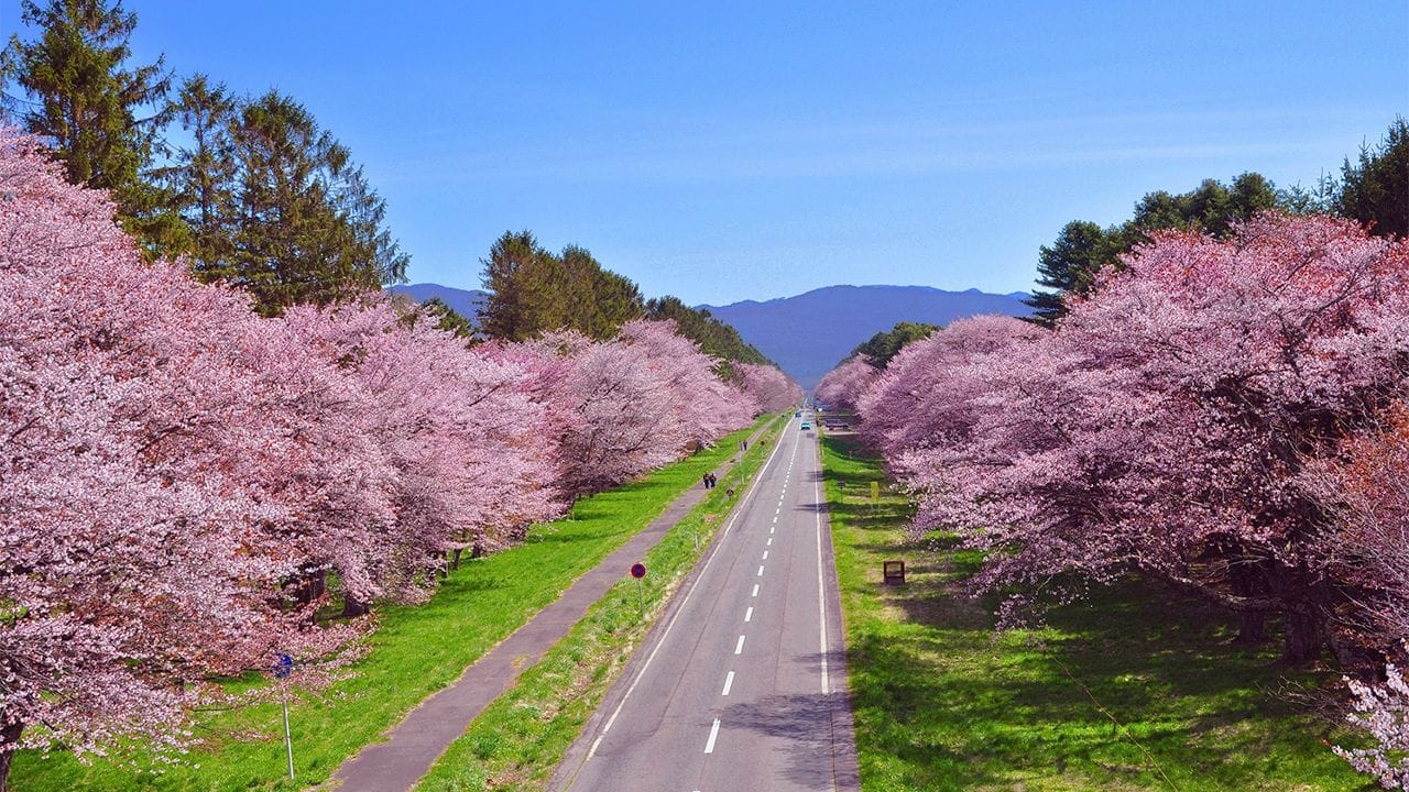 Nijukken Road, Shizunai, Hokkaido