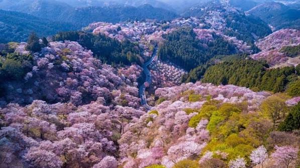 Mount Yoshino, Nara