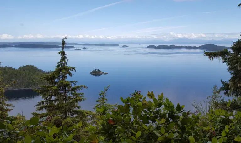 9 Of The Best Things To See And Do On Vancouver Island