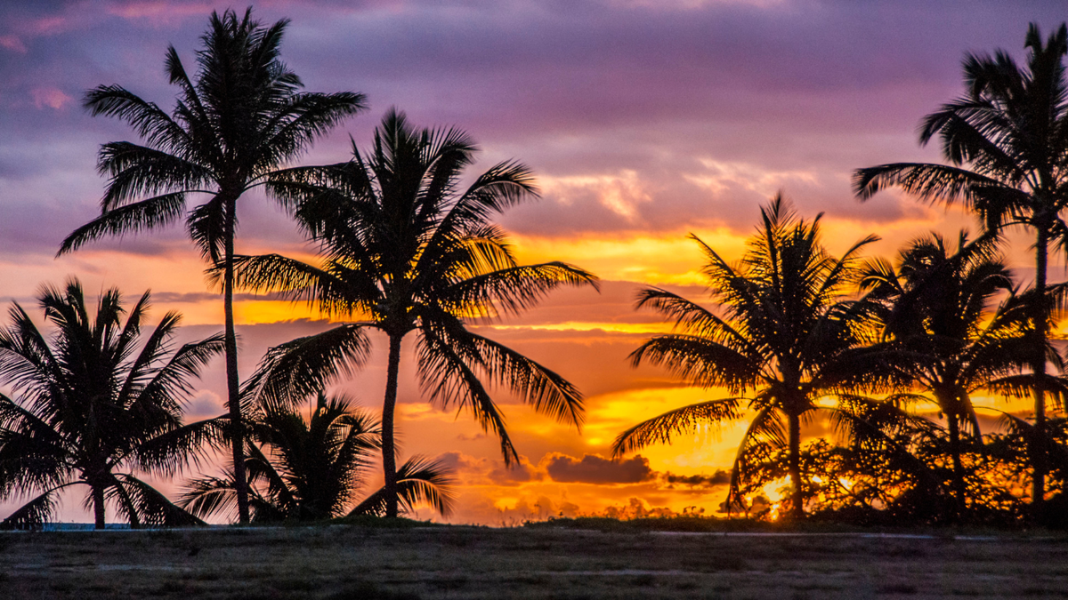 Cheapest and Most Expensive Times To Visit Maui