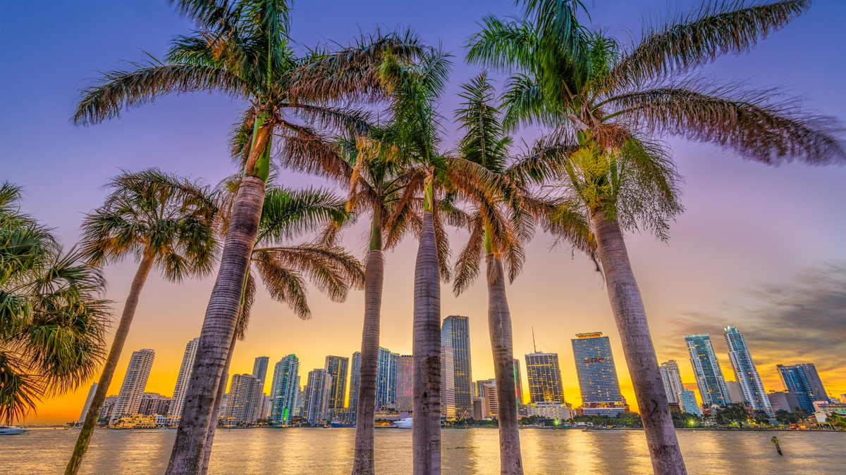 9 Best Areas of Miami to Stay In When Visiting The City