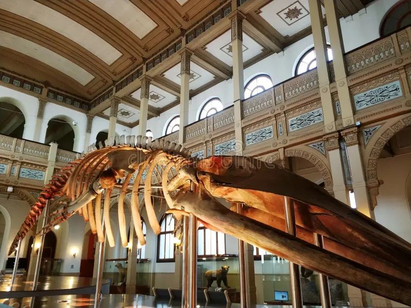 7 Must-Visit Museums in Santiago, Chile