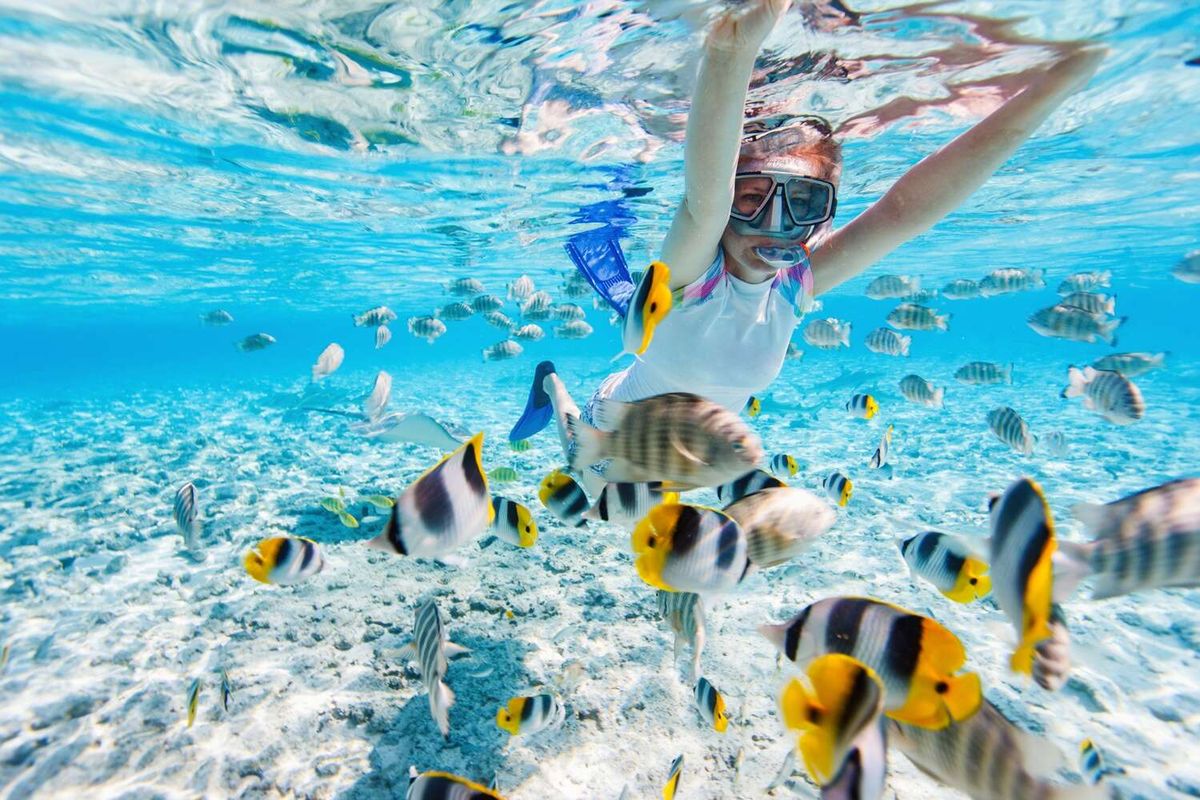 20 Best Things to Do In West Maui When Visiting The Area