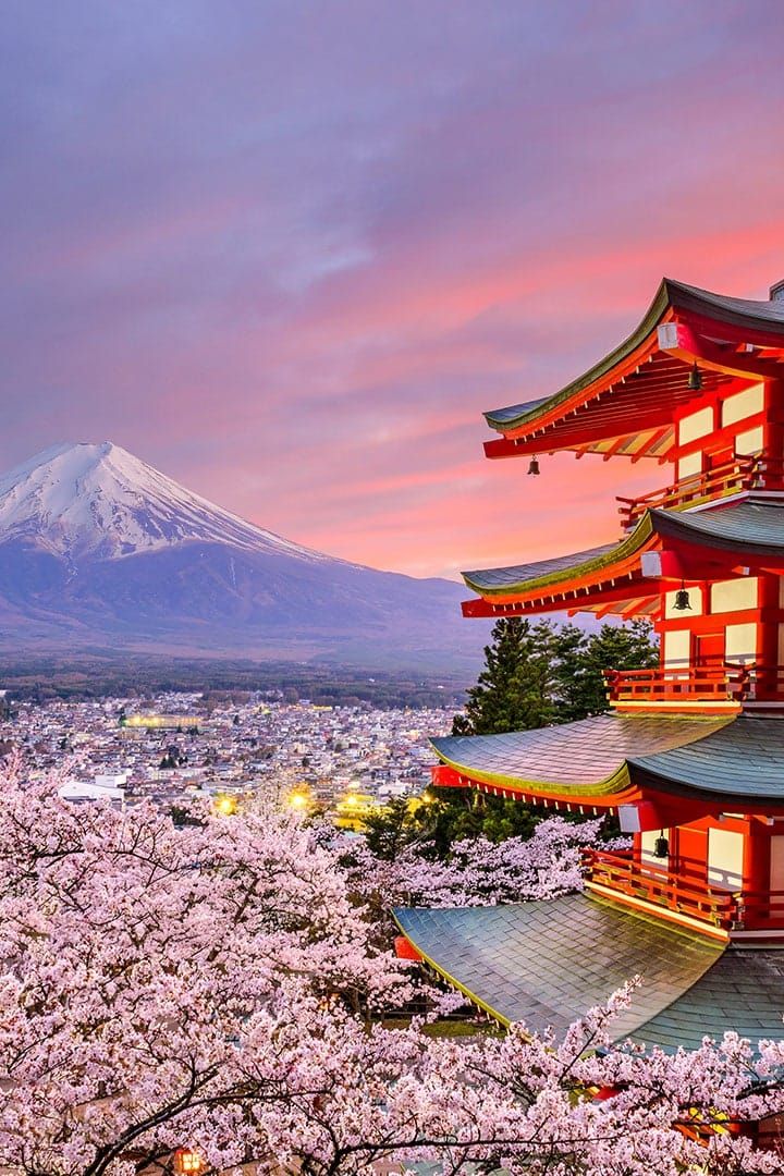 Cheapest And Most Expensive Times To Visit Tokyo