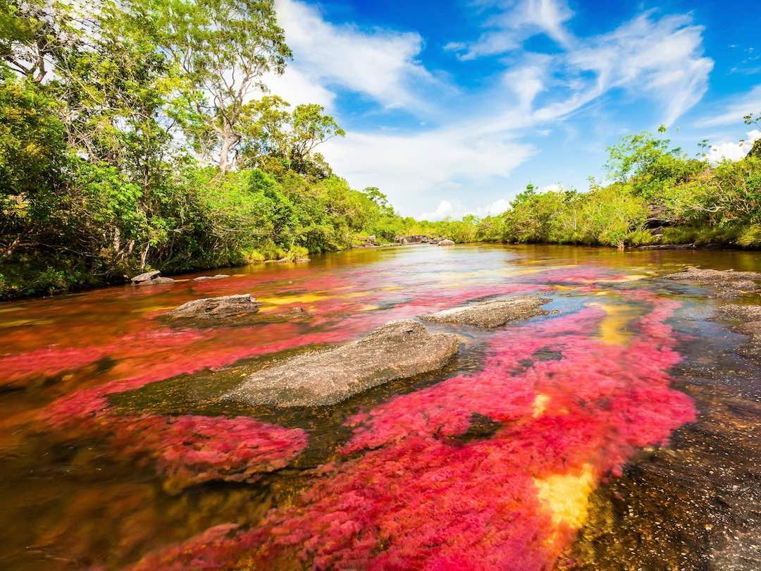 Colombia In January: Everything You Need To Know