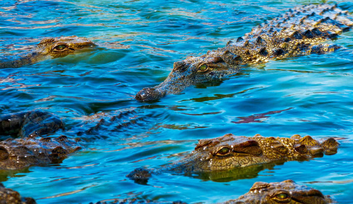 World’s Most Dangerous Beach Destinations You Should Never Swim At