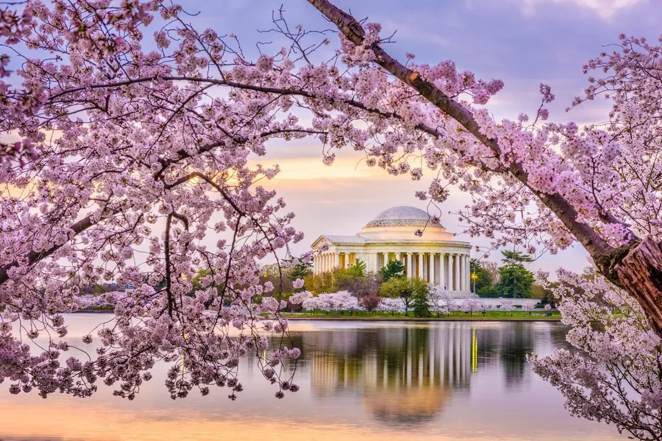 Cheapest & Most Expensive Times to Visit Washington D.C.