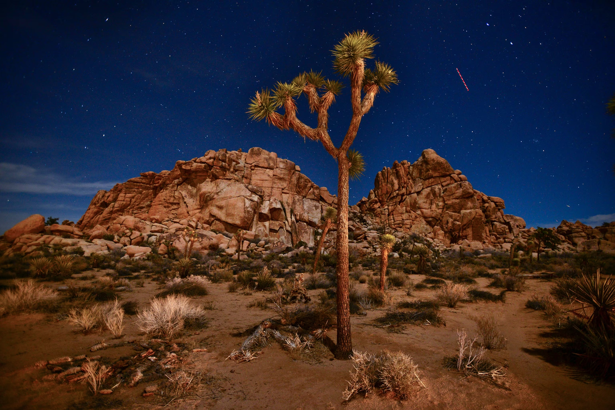9 Most Beautiful Parks in California