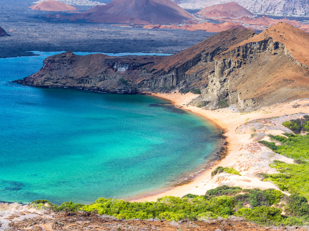 Galápagos Islands Cheapest and Most Expensive Times To Visit