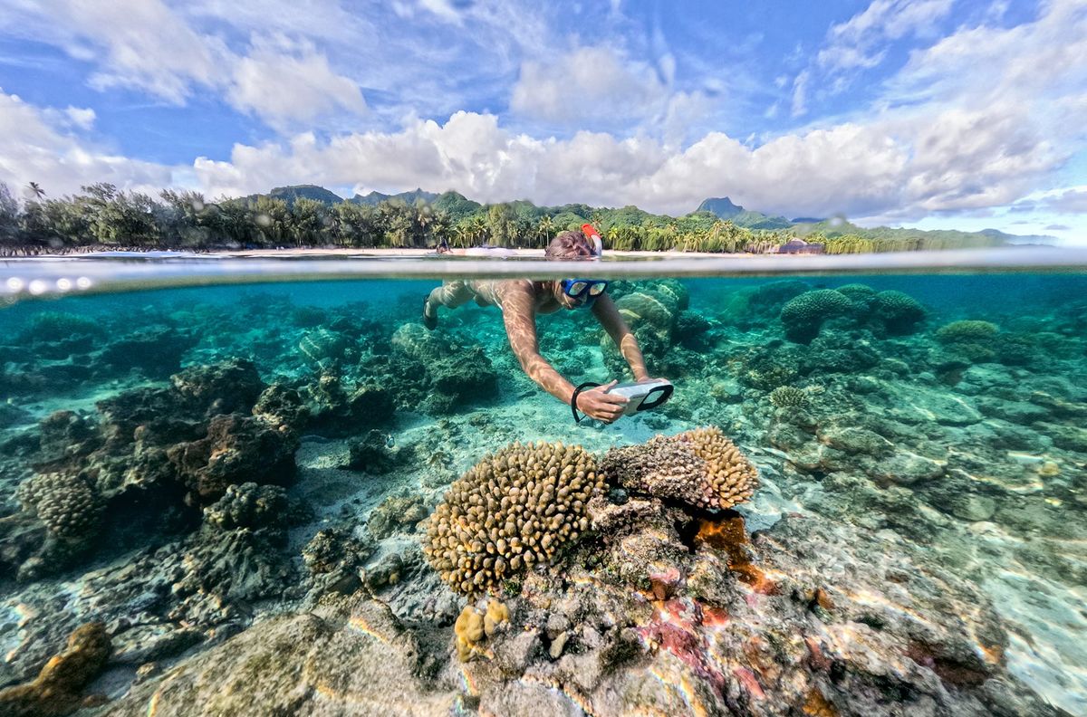Cheapest and Most Expensive Times To Visit The Cook Islands