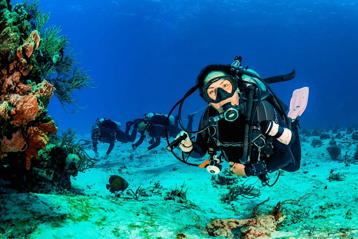 Cost to Visit Cozumel: Complete 2026 Budget Guide