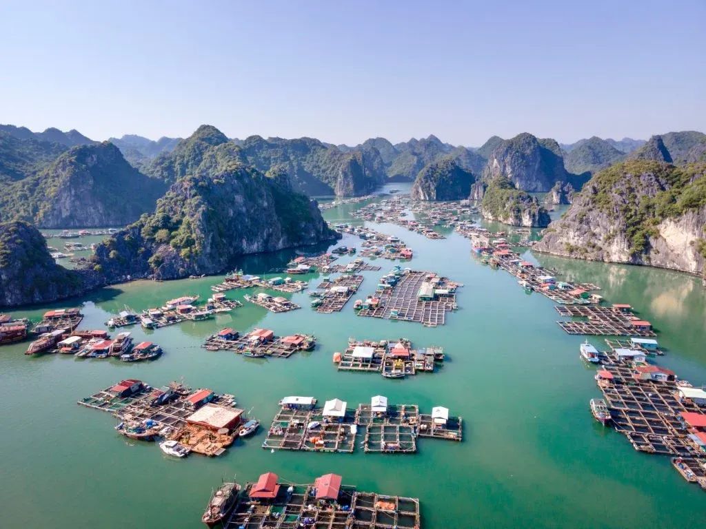 Vietnam Travel Cost💸: Visitors Budget Guide (2026)