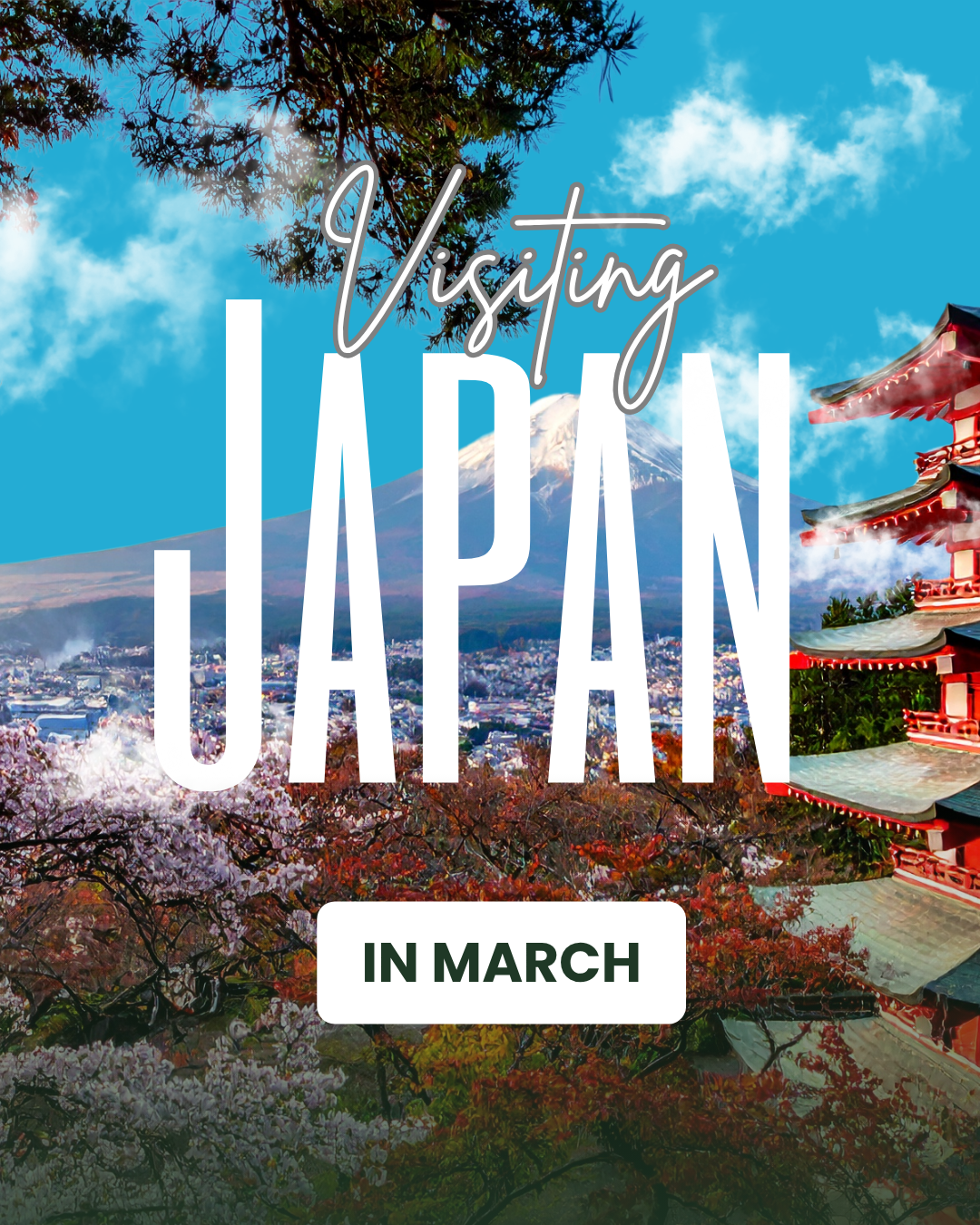 Visiting Japan In March: Weather, and Best Things To Do
