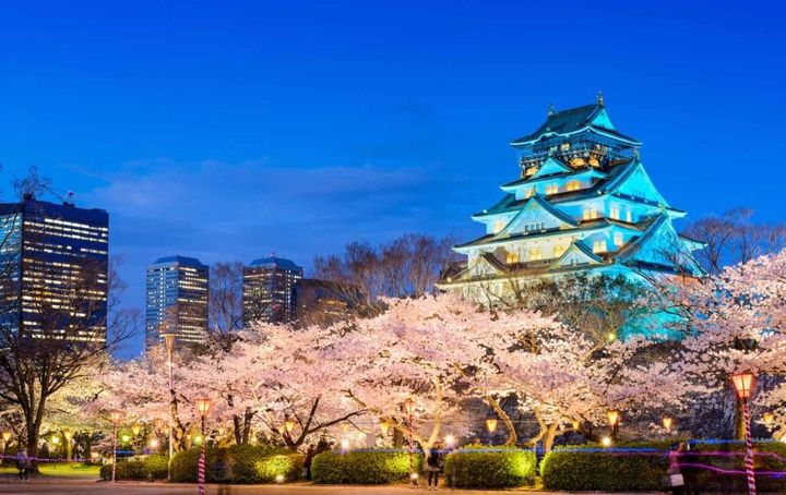 Osaka castle lit up at night with cherry blossom trees in full bloom. 