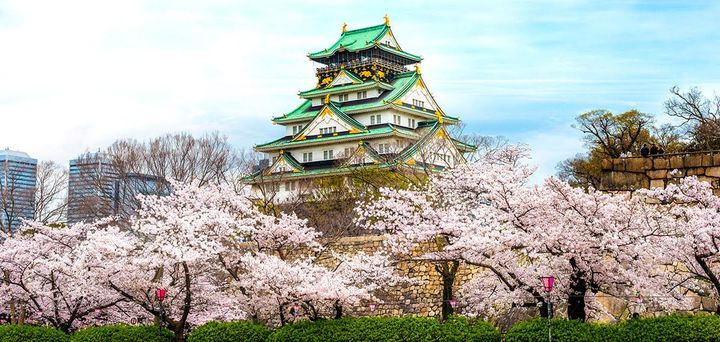 Cost to Visit Osaka: Trave Budget Guide 