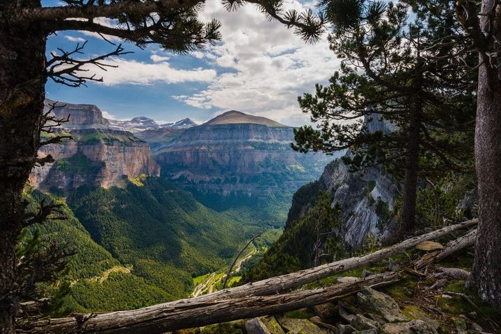 A dead log on top of a cliff over looking at valley with mountains on the other side of the valley at one of Spain's National Parks.