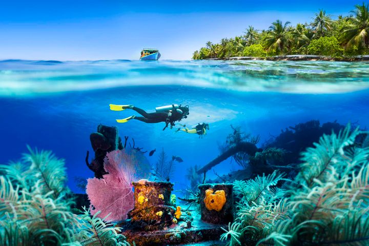 Two scuba divers in the water at one of the top scruba diving destinations in the world. 