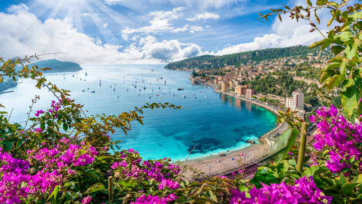 Purple flowers on a hillside, and down below a city with a beautiful beach with clear blue waters.