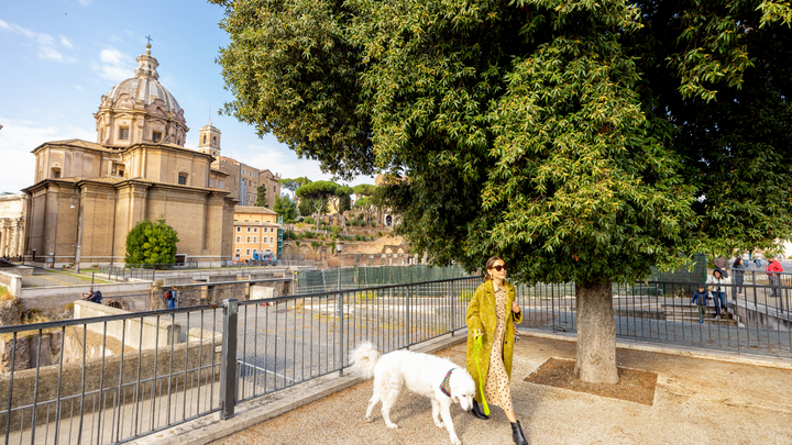 A woman wearing a yellow jacket is walking her large white dog under a tree in Rome.
