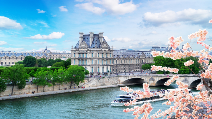 A boat going up the Sein River in Paris, France with a tree that has beautiful spring blooms on it.