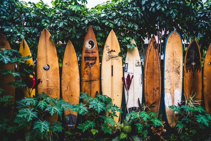 Surfboards stacked beside each other in front of tree in Hawaii.