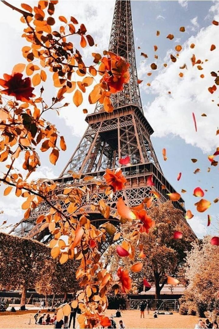 Leaves with an autumn color on the trees at the Eiffel Tower in Paris