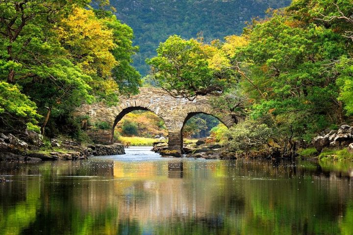 Stone bridge surrounded by lush green trees and calm reflective water at Killarney National Park, Ireland.